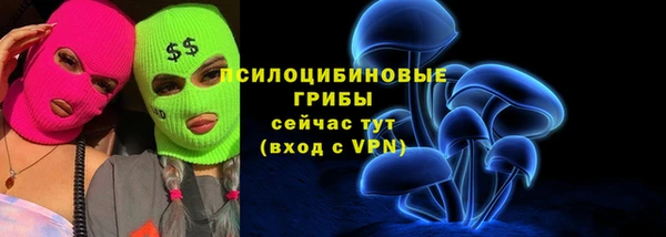ПСИЛОЦИБИНОВЫЕ ГРИБЫ Касимов