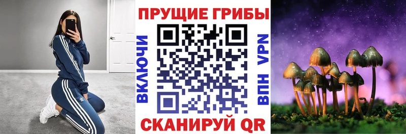как найти закладки  Псков  Псилоцибиновые грибы прущие грибы 